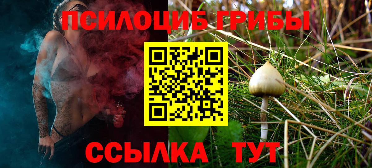 Галлюциногенные грибы Psilocybe Железноводск