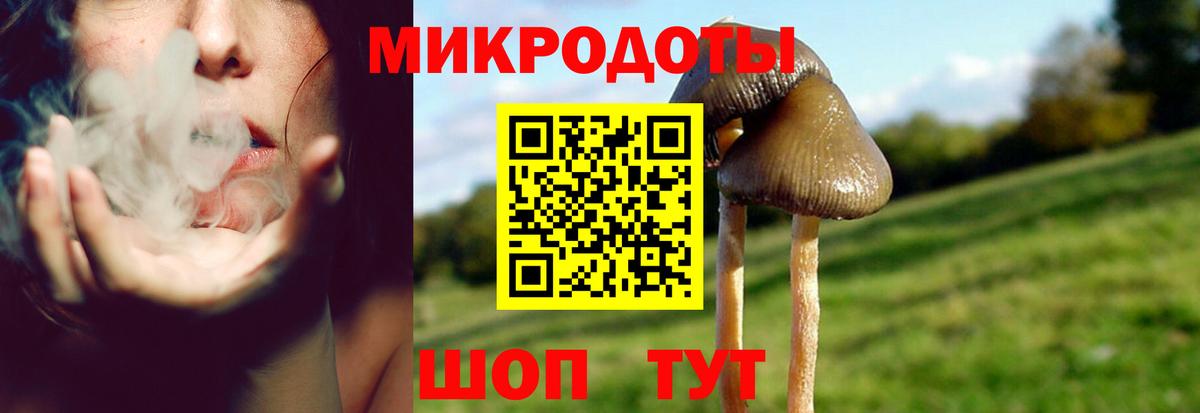 Псилоцибиновые грибы GOLDEN TEACHER  Вход с VPN  Железноводск 